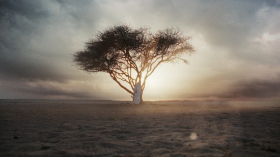 fifa1-78b36600de1621d24e8731ce62440c8b